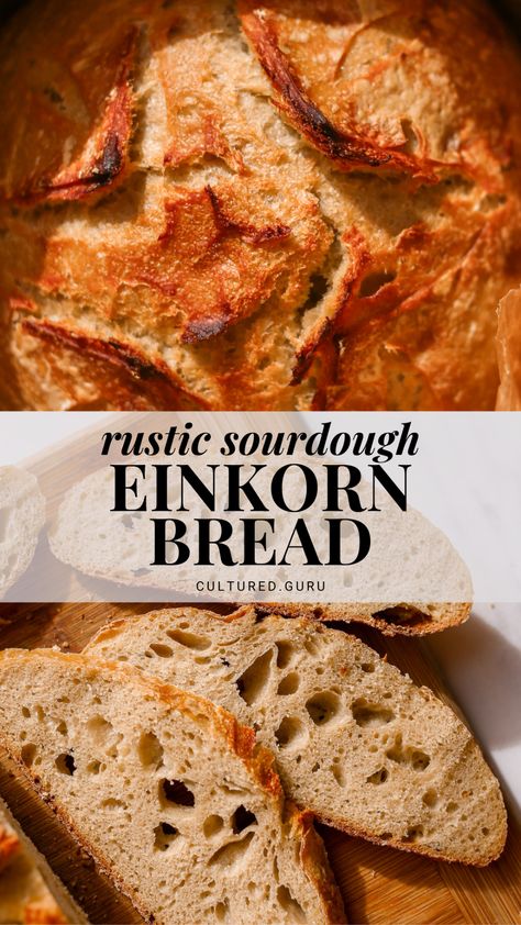 Discover the rustic charm and amazing flavors of sourdough einkorn bread. This recipe blends organic einkorn flour with organic bread flour for the best results. #einkorn #bread #sourdough Simple Sourdough Bread, San Francisco Sourdough, Einkorn Bread, Simple Sourdough, Einkorn Recipes, Bread Toppings, Organic Bread, Einkorn Flour, Bread Dip