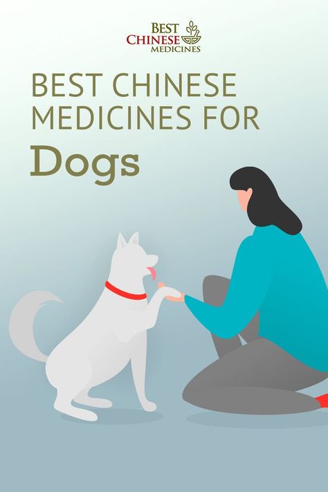 Herbs For Dogs, Medicine For Dogs, Meds For Dogs, Dog Medicine, Dog Words, Elderly Dogs, Chinese Herbal Medicine, Chinese Herbs, Dog Happy