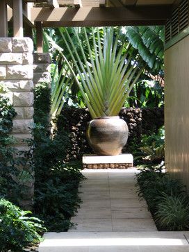 Fan palm focal point | Tropical landscape ideas Balinese Entrance, Landscaping Walkways, Feature Tree, Tanaman Air, Bali Garden, Balinese Garden, Tropical Landscape Design, Backyard Area, Garden Tropical