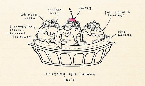 anatomy of a banana split By Little Doodles Kate Wilson, Banana Treats, Recipe Drawing, Cherry Crush, Little Doodles, Information Graphics, Banana Flavored, Banana Split, Food Illustrations