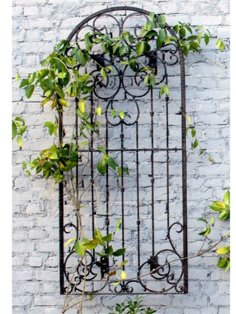 Wall Mounted Trellis, Pergola Plans Roofs, Wall Climbing Plants, Patio Wall Art, Metal Garden Trellis, Patio Wall Decor, Trellis Garden, Iron Trellis, Wall Trellis