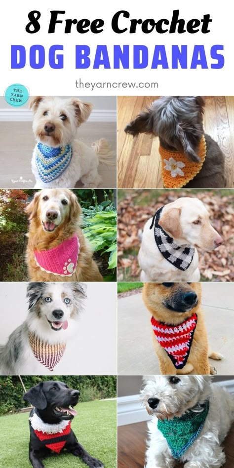 Free Crochet Patterns For Dog Clothes, Crochet Dog Bandana, Dog Scarf Crochet, Crochet Dog Hat, Dog Collar Pattern, Knitting Patterns Free Dog, Dog Bandana Pattern, Crochet Dog Clothes, Crochet Pet