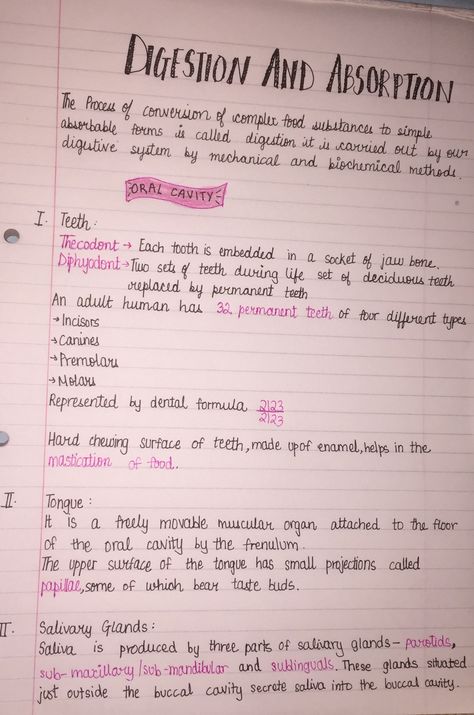 Digestion and absorption class 11 cbse page 1 notes Digestion And Absorption Short Notes, Class 11 Biology Notes Digestion And Absorption, Bio Notes Class 11, Digestion And Absorption Neet Notes, Digestion And Absorption Notes, Digestive System Notes, Digestion Notes, Class 11 Chemistry Notes, Class 11 Physics Notes