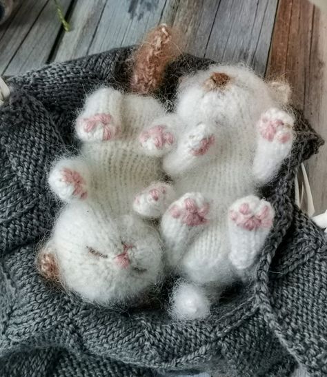 Gray Yarn Crochet Ideas, Kitten Knitting Pattern, Knitted Stuffed Animals, Crochet Cat Toys, Knitting Bag Pattern, Knit Rug, Sleeping Kitten, Cute And Cuddly, Knitted Cat