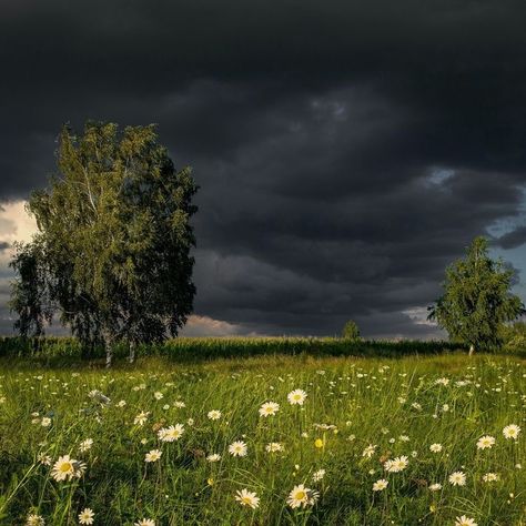 Shooter Aesthetic, Red In Nature, Real Sunset, Dark Weather, Calming Nature, Dark Naturalism, Arte Van Gogh, Pretty Landscapes, Dark Sky