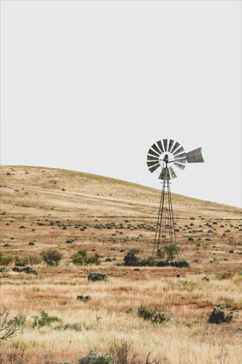 Rural Australia Aesthetic, Australian Country Aesthetic, Australiana Aesthetic, Tamworth Nsw, Rural Aesthetic, Prairie Aesthetic, Rural Australia, Rural Photography, Australian Farm