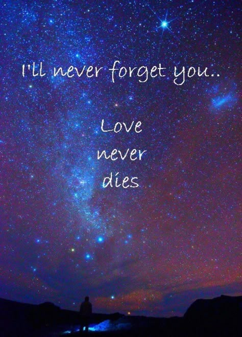 Ill Never Forget You, Missing My Son, Miss You Dad, Miss You Mom, Love Never Dies, Never Forget You, Love You Forever, In Loving Memory, I Miss You