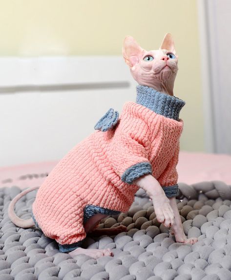 Kitten Clothes, Chat Sphynx, Warm Hoodies, White And Black Cat, Sphinx Cat, Clothes Winter, Cat Themed Gifts, Hairless Cat, Cat Hoodie