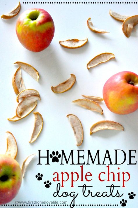 APPLE DOG TREATS Homemade Dog Shampoo, Homemade Dog Cookies, Dog Biscuit Recipes, Healthy Dog Treats Homemade, Dog Treats Homemade Recipes, Apple Chips, Food Dog, Healthy Dog Treat Recipes, Dog Cookies