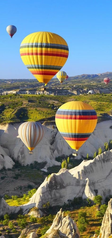 Hot Air Balloons Photography, Hot Air Balloons Art, Balloons Photography, New Mexico Homes, Hot Air Balloon Festival, Random Aesthetics, Hot Air Balloon Rides, Albuquerque New Mexico, Air Balloon Rides