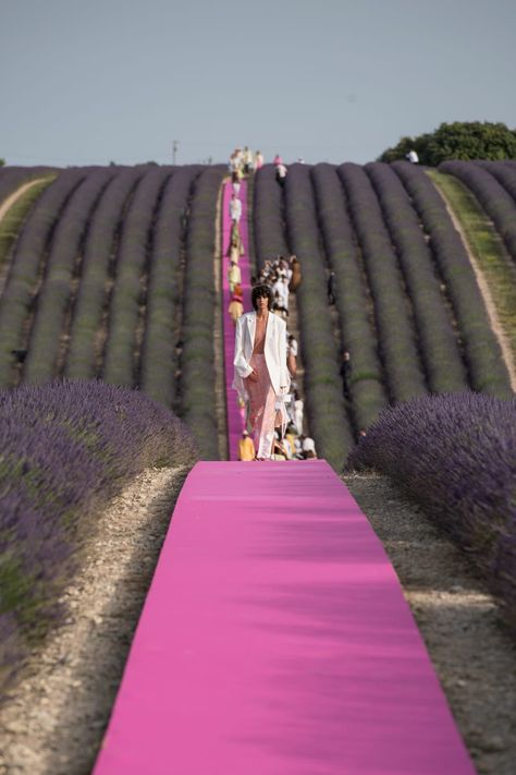 Jacquemus Summer, Fashion Show Set Design, Fashion Show Design, Simon Porte Jacquemus, Hot Pink Blazers, Lavender Field, Anniversary Event, Pink Carpet, Carton Invitation