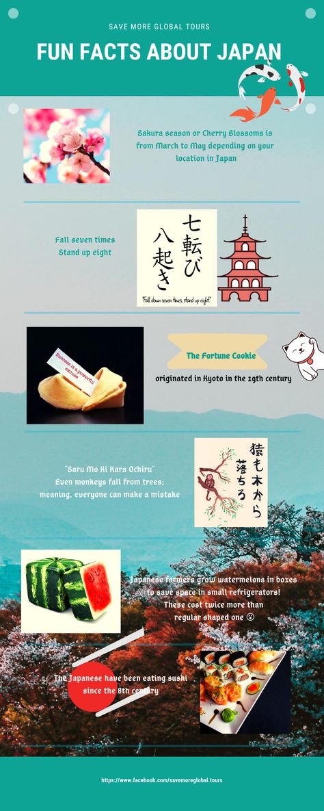 Fun facts about the different countries as well as some of their local words of wisdom. The illustration is meant to inspire one to start their own travel journal wherever they may be in the world.  #traveltheworld #europe #spain #aisia#india #japan #beautifuldestination #bucketlist Facts About Japan, Japan Facts, Japan Sakura, Travel Fun, Bucket List, Some Fun, Fun Facts, Meant To Be, Japan