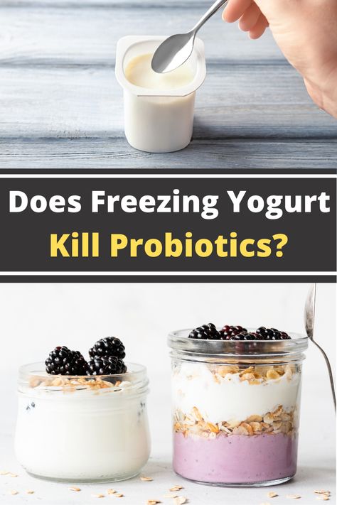 What happens when you take advantage of that yogurt sale and end up with more yogurt than you can eat? Typically we throw things in the freezer to enjoy them later but does freezing yogurt kill the healthy probiotics? So can you freeze yogurt or will that kill the probiotics? Freezing yogurt will not kill the probiotics. The probiotics will enter a dormant state from the cold temperatures and will awaken when brought back to room temperature. Can You Freeze Greek Yogurt, How To Freeze Yogurt, Can You Freeze Yogurt, Freeze Yogurt, Freezing Yogurt, Activia Yogurt, Frozen Greek Yogurt, Homemade Greek Yogurt, Frozen Yogurt Recipes