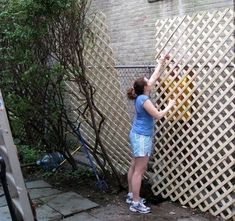 Pergola Diy, Privacy Fence Designs, Privacy Landscaping, Pergola Lighting, Backyard Privacy, Easy Backyard, Privacy Fences, Backyard Pergola, Chain Link Fence