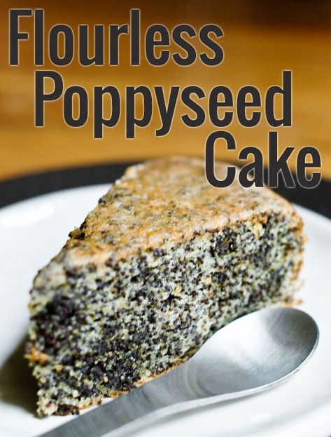 Flourless Poppy Seed Cake Recipe | Chocolate & Zucchini Seed Cake Recipe, Poppy Seed Cake Recipe, Poppyseed Cake, Flourless Cake, Seed Cake, Poppy Seed Cake, Moist Cake, Chocolate Zucchini, Poppy Seed