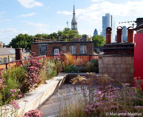 Shoreditch Roof Terrace Terrace Garden Ideas, London Shoreditch, Roof Garden Design, Balkon Decor, Prairie Garden, Garden Privacy, Roof Architecture, Industrial Architecture, Rooftop Patio