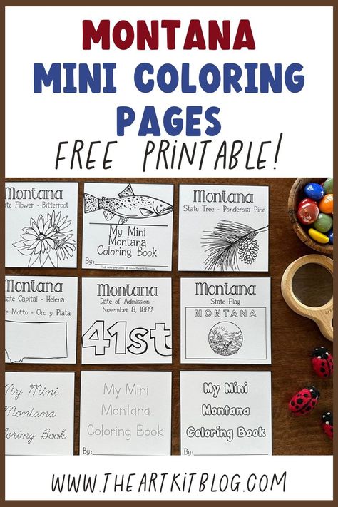 Social Studies Unit, The 50 States, Memory Match Game, Bookmark Printing, Educational Activities For Kids, History For Kids, Learn Crafts, Fun Printables, Homeschool Activities