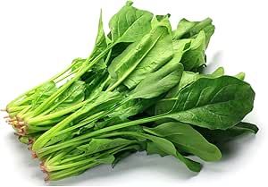 400 Seeds - Spinach Seeds - Cai bo xoi Seeds (Spinacia oleracea) Turkana Or American Spinach Vegetable Seeds/Slow Bolt Baby Greens Seeds | Ideal for cooking and daily uses - The Rike Kale Benefits, Masakan Malaysia, Chinese Broccoli, Spinach Seeds, Kai Lan, Broccoli Seeds, Asian Vegetables, Chinese Cabbage, Leafy Vegetables