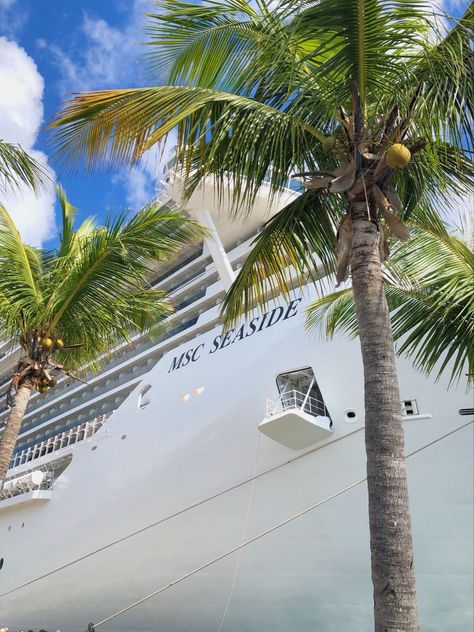 MSC Cruise ship, Palm trees Cruise Pictures, Beach Instagram Pictures, Msc Cruises, Dream Cruise, Face Pictures, Cruise Travel, Adventure Awaits, Travel Aesthetic, Cruise Ship