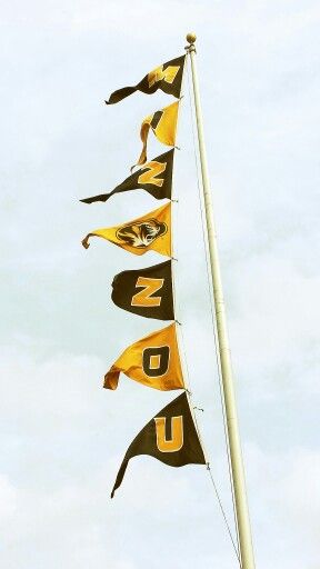 MIZZOU flags Mizzou Tigers Wallpaper, Mizzou Wallpaper, Mizzou Aesthetic, College Football Aesthetic, College Collage, Coolest Cooler, College Vision Board, Mizzou Tigers, College Acceptance