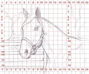 How to Draw a Horse Using a Grid Step 3 Drawing Trends, Horse Drawing Tutorial, Horse Pencil Drawing, Horse Head Drawing, Creatures Drawing, Draw A Horse, Drawing Grid, Latest Drawing, Horse Art Drawing