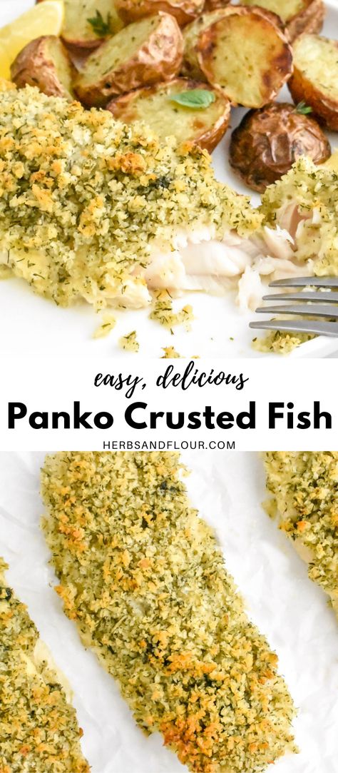 Breaded Basa Fillets, Healthy Crusted Fish, Basa Fillet Recipes Baked, Herb Crusted Fish Recipes, Basa Fish Recipes Baked, How To Prepare Cod Fillets, Panko Crusted Haddock, Herb Crusted Fish, Sole Fish Recipes Baked