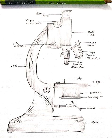 Microscope Drawing/Art..Black&white pencil shade...Medical/biology/project/assignment... Microscope Art Drawing, Microscope Drawing Easy, Biology Art Draw, Compound Microscope Drawing, Microscope Drawing With Label, Biology Art Draw Ideas, Microscope Sketch, Active Transport Biology, Biology Sketches