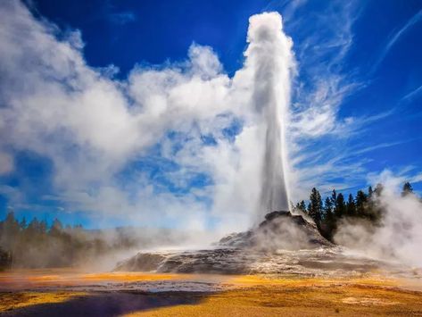 Old Faithful Geiser erupting, Yellowstone Eucalyptus Deglupta, Yellowstone Park, Big Sky Country, National Park Road Trip, Old Faithful, American Road Trip, Free Camping, Big Sky, Yellowstone National