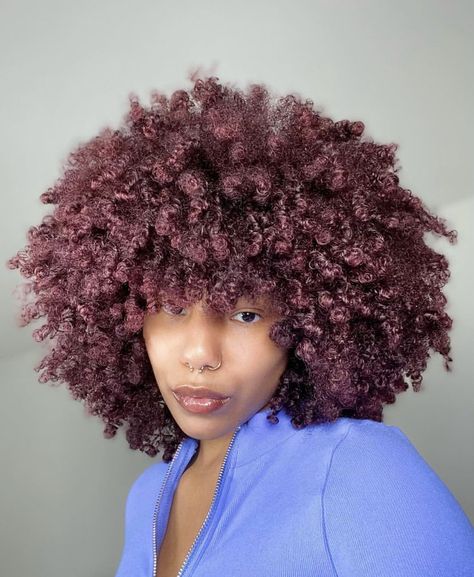 Red Afro Hair, Burgundy Afro, Burgundy Natural Hair, Red Afro, Afro Natural, Curly Hair Problems, Dark Red Hair, Natural Afro Hairstyles, Steve Lacy