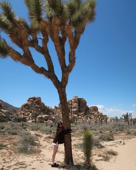 exploring joshua tree with my favorite person, happy 1 year i love you!! 🤍💛🤎 Joshua Tree Stargazing, Joshua Tree Rock Climbing, Joshua Tree Birthday Party, Joshua Tree Photos, Joshua Tree Pictures, Joshua Tree Picture Ideas, San Diego Pictures, Joshua Tree Aesthetic, Joshua Tree Airbnb