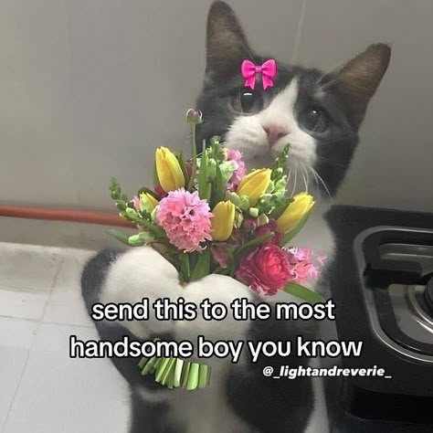 Posts To Send Your Boyfriend, Flowers For Him Boyfriends, For Him Aesthetic, Send This Your Boyfriend, Love You Memes For Him Cute, Flowers For My Pretty Boy, Cute Things To Send To Boyfriend, Happy Messages For Him, Funny Stuff To Send To Boyfriend