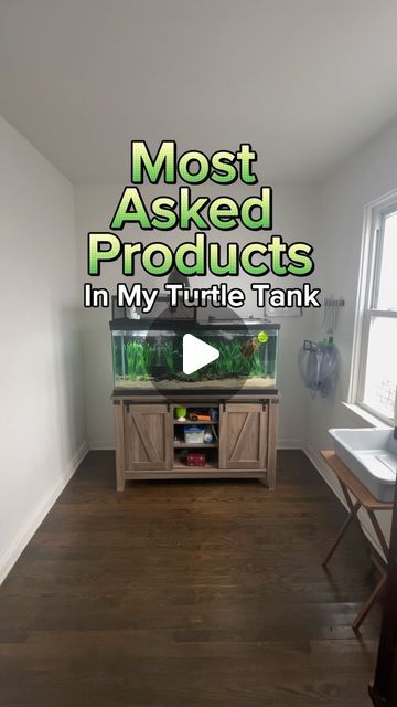 AQUATIC REALM on Instagram: "Here are the most asked products in my turtle tank! You can find everything that I used for my tank in my website! 

#redearedsliderturtle #turtletank #turtleaquarium" Stock Tank Turtle Setup, Turtle Tank Aesthetic, Aesthetic Turtle Tank, Aquatic Turtle Tank Ideas, Spotted Turtle Tank, Pet Turtle Aesthetic Tank, Turtle Tank Setup Ideas, Musk Turtle Tank, Turtle Tank Ideas