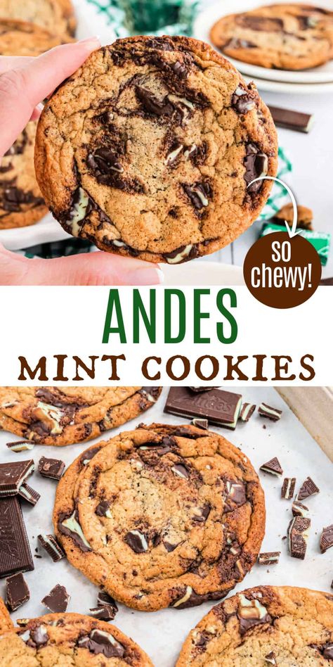 Andres Mint Cookies, Andy’s Mint Cookies, Andies Mint Cookies, Chocolate Mint Recipes, Andes Mint Cheesecake, Andes Mint Recipes, Mint Cookies Recipe, Mint Chocolate Chip Cupcakes, Mint Chip Cookies