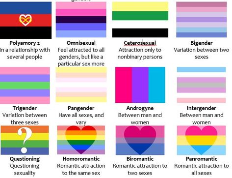 Flag Meanings Pride, Pride Flag Meanings, Pride Flags And Meanings, Flag Meanings, Pride Flags, Pie Chart, Meant To Be, Flag, Quick Saves