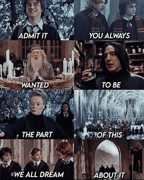 Harry Potter And His Friends, Harry Potter Funny Pictures, Harry Potter Friends, Always Harry Potter, Harry Potter Feels, Harry Potter Puns, Harry Potter Images, Harry Potter Magic, Images Harry Potter