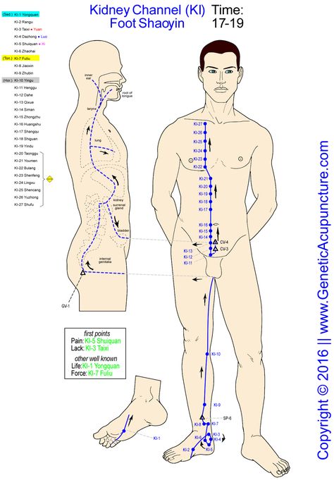 Gall Bladder Removal, Meridian Acupuncture, Traditional Chinese Medicine Acupuncture, Acupuncture Points Chart, Gallbladder Attack, Gallbladder Cleanse, Gall Bladder, Acupuncture Points, Acupressure Points