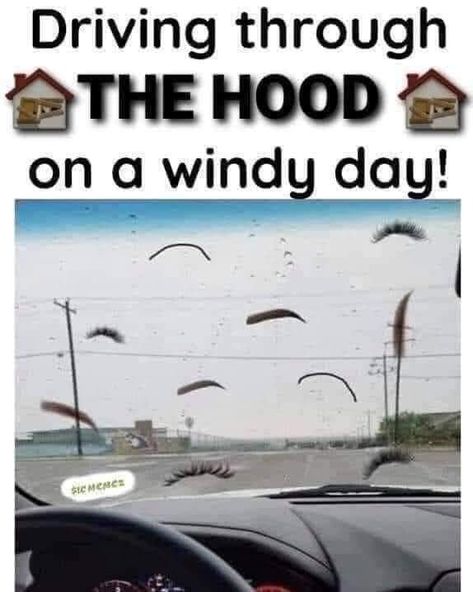 Windy Day Humor, Top Memes, Windy Day, Animal Games, Back In The Day, Viral Pins, Fun Facts, Humor, Instagram Post