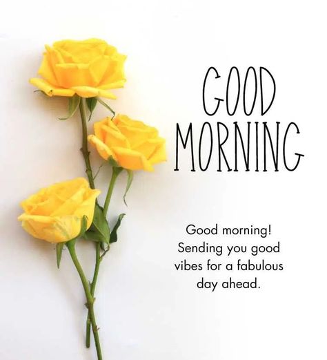 30+ Beautiful Good Morning Yellow Rose Images Good Morning Yellow Flowers, Good Morning Rose Images, Beautiful Good Morning Images, New Good Morning, Good Morning Tea, Love Good Morning Quotes, Beautiful Good Morning, Positive Good Morning Quotes, Good Morning Sweetheart Quotes