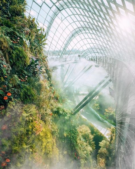 Travel + Leisure on Instagram: “No, this isn’t a backdrop from Avatar. The misty Cloud Forest is a beautiful attraction in Singapore's Gardens by the Bay! Get our "Crazy…” Singapore Garden, Gardens By The Bay, Above The Clouds, Travel Goals, Travel Insurance, Travel And Leisure, Land Scape, Amazing Destinations, Places Around The World