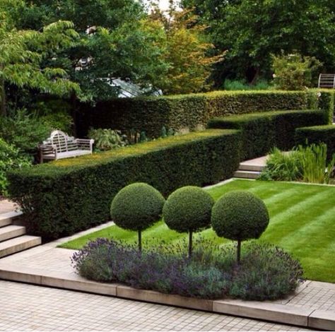 Garden Topiary Garden, Formal Garden, Formal Gardens, Gorgeous Gardens, Autumn Garden, Small Gardens, Shade Garden, Front Garden, Modern Garden