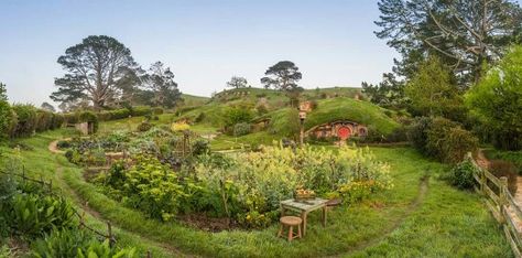 ❤ the red door Hobbiton New Zealand, Cube World, Hobbit Hole, Hobbit House, Dream Cottage, Pretty Landscapes, The Shire, Geodesic Dome, Red Door