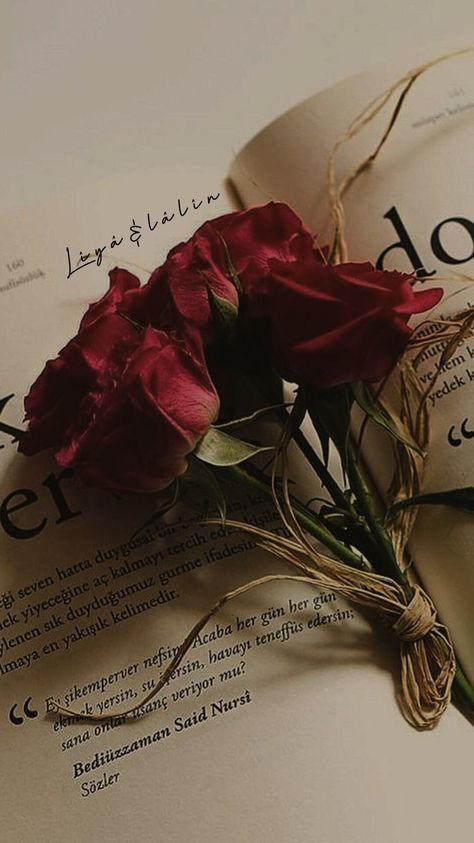 Books And Roses Aesthetic, Deep Red Roses Aesthetic, Desert Rose Aesthetic, Romantic Flowers Aesthetic, Dark Magic Aesthetic Red, Dark Red Roses Aesthetic, Aestetic Picture, Red Rose Wallpaper, Rose Core