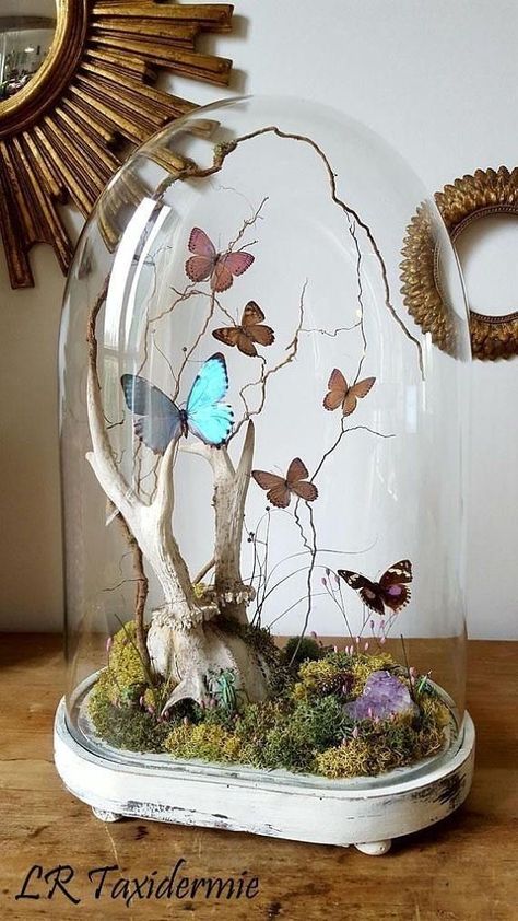 Glass Cloche Decor, Cloche Decor, Painting Challenge, نباتات منزلية, Glass Cloche, The Bell Jar, Deco Floral, Nature Crafts, Glass Dome