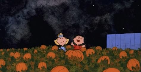 Charlie Brown Svg, Best Fall Movies, Medium Widget, Great Pumpkin Charlie Brown, It's The Great Pumpkin, Pumpkin Wallpaper, Charlie Brown Halloween, The Great Pumpkin, Snoopy Halloween