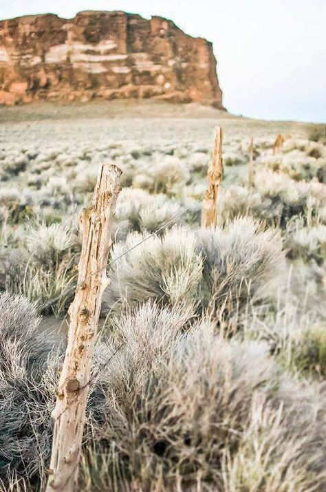 June 2012 | Looking across the field of sage brush outside of Fort Rock in central Oregon. Mountain Cowgirl, Oregon Aesthetic, Christmas Valley, Desert Retreat, Sage Brush, Scene Tattoo, Desert Willow, Oregon Life, Oregon Photography