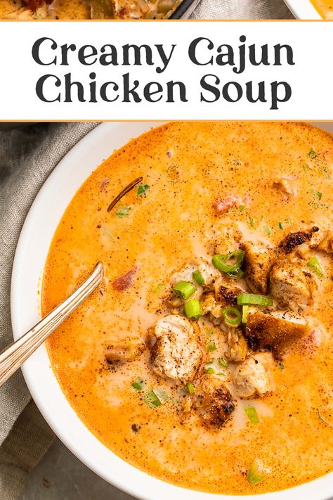 Creamy Chicken Gumbo Soup, Cajun Chicken Soup Crock Pot, Creole Chicken Soup, Creamy Chicken Broth Soup, Creamy Cajun Chicken Pasta Soup, Cajun Ninja Chicken Stew, Cajun Soup Recipes New Orleans, Cajun Chicken Noodle Soup, Creole Soup Recipes