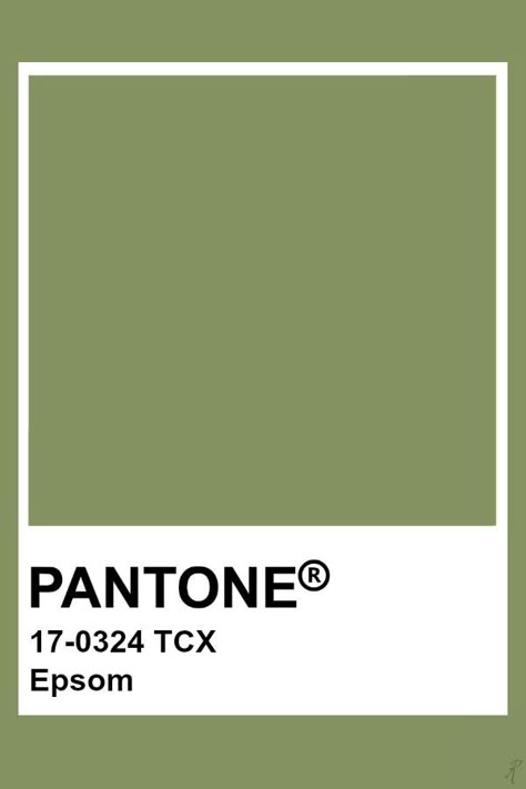 Olive Pantone, Pantone Green Shades, Pantone Tcx, Pantone 2024, Pantone Green, Pallet Color, Pantone Color Chart, Pantone Swatches, Pantone Palette