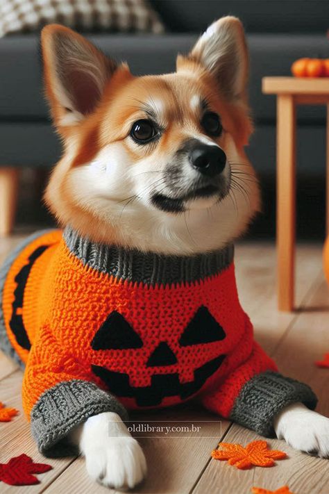 Learn how to crochet a Halloween costume for dogs with this easy and detailed step-by-step guide. Halloween Costume For Dogs, Crochet Halloween Costume, Costume For Dogs, Crochet Dog Sweater, A Halloween Costume, Pet Halloween Costumes, Dog Halloween Costumes, Learn How To Crochet, Crochet Creations