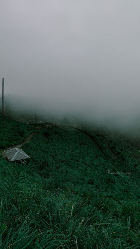 Idukki, kerala #hebin photography Idukki Aesthetic, Kerala Piravi, Kerala, Wallpaper Backgrounds, Country Roads, Wallpapers, Photography, Travel, Quick Saves