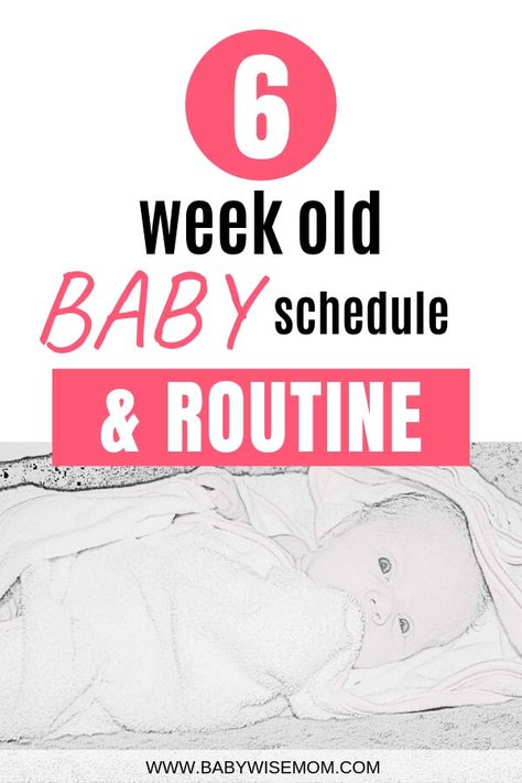 6 week old schedule and routine for baby. 6 week old newborn routine and schedule. See what each day is like for this six week old Babywise baby and get ideas of what to expect for your baby.  Check out this baby sleep schedule. #babywise #babyschedule #newboernschedule #babywiseschedule 6 Week Old Baby Activities, 6 Week Old Schedule, 6 Week Old Baby Milestones, 6 Week Old Sleep Schedule, Moms On Call Schedule 4-8 Weeks, 6 Week Old Baby Schedule, 6 Weeks Old Baby, 6 Week Baby, 7 Week Old Baby